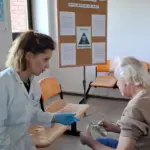 dz palilula